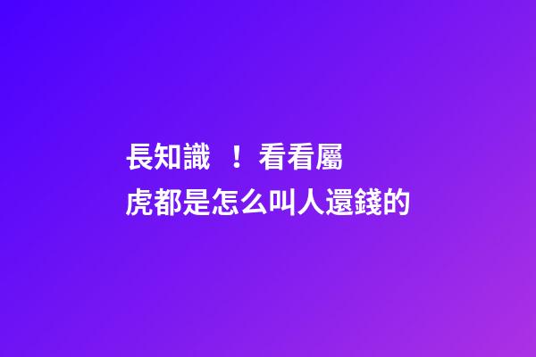 長知識！看看屬虎都是怎么叫人還錢的